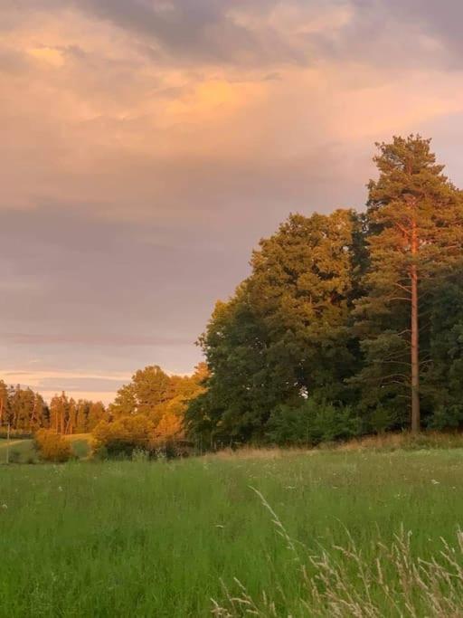 Вилла Prijemna Chaloupka Na Trebonsku Хлум-у-Тршебоне Экстерьер фото